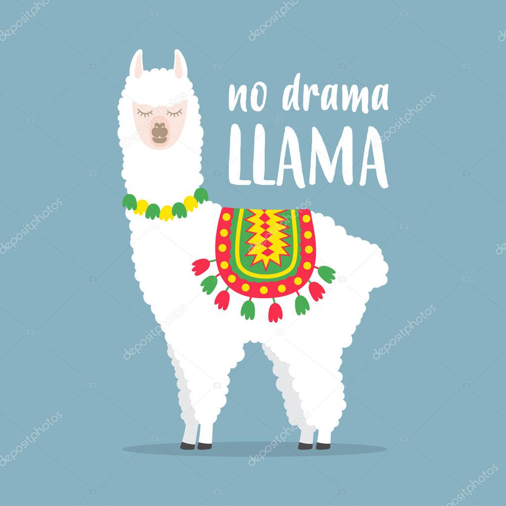 White llama with lettering. No drama llama. Motivational poster for prints. Vector illustration.