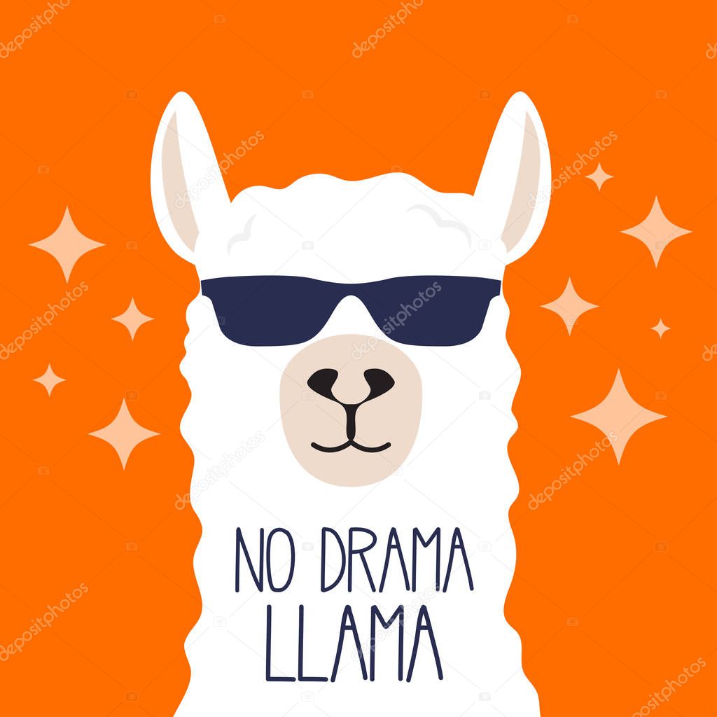 White llama with sunglasses and lettering. No drama llama. Motivational poster for prints. Vector illustration.