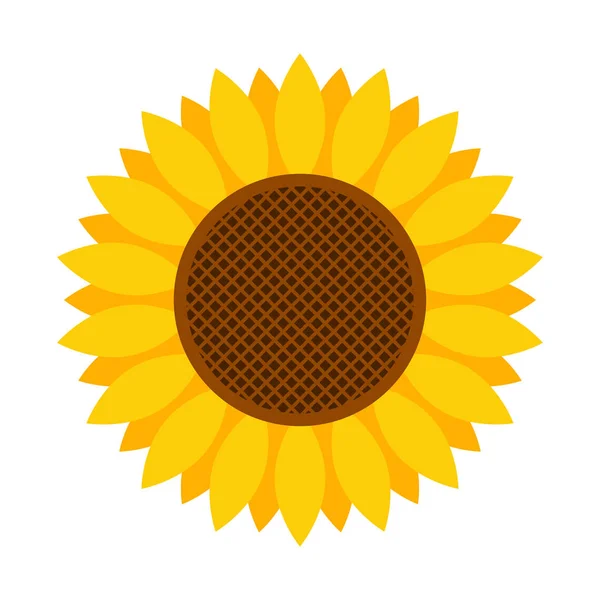 Icono Girasol Aislado Sobre Fondo Blanco Estilo Plano Ilustración Vectorial — Vector de stock