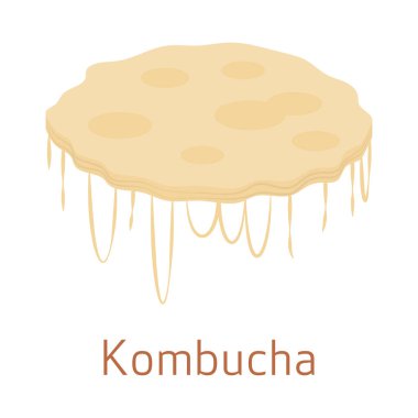 Kombucha SCOBY mushroom on a white background. vector illustration clipart