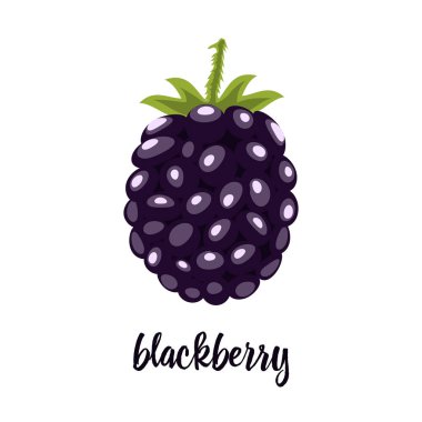 şirin böğürtlen izole beyaz, berry kartı, meyve arka plan, parlak blackberry yazıt ile