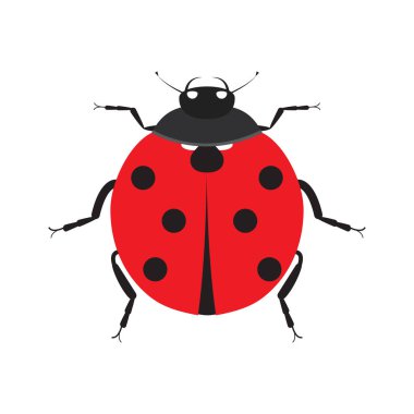 Sevimli uğur böceği. Böcek böcek. Vektör çizim, beyaz arka plan üzerinde izole