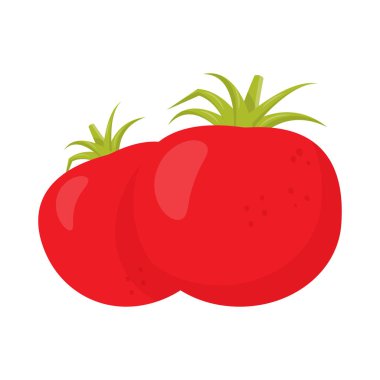 Çift kırmızı ripe domates. İzole beyaz arka plan. Vektör çizim