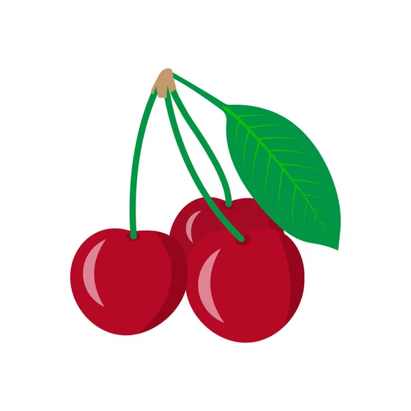Twee Rode Kers Cherry Pictogram Zoete Kersen Vectorillustratie Geïsoleerd Witte — Stockvector