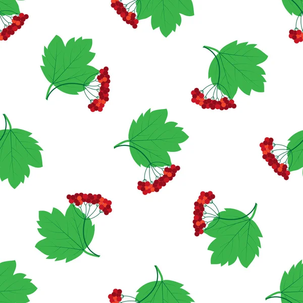 Вибурнум Безморщинистый Красные Ягоды Зеленые Листья Белом Фоне Векторная Иллюстрация — стоковый вектор
