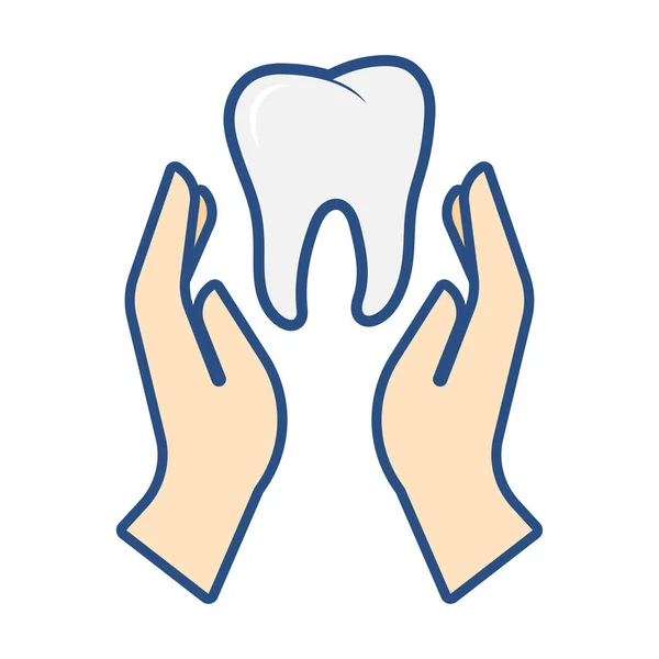 As mãos seguram o dente. Conceito de assistência odontológica — Vetor de Stock