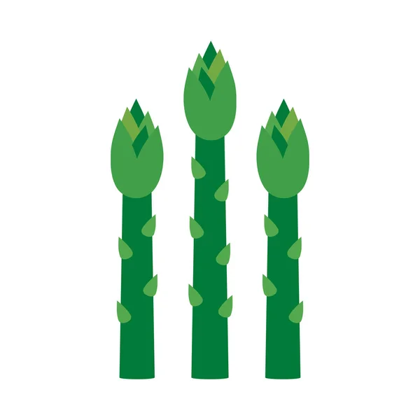 Brotes de espárragos verdes — Vector de stock