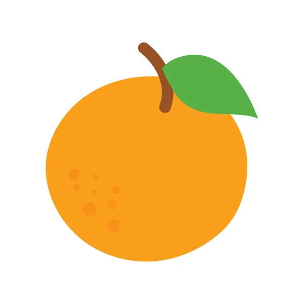Narancs gyümölcs leveles. Vektoros illusztráció — Stock Vector