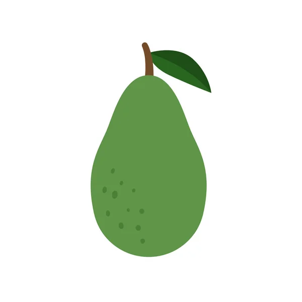 Avocadofrucht-Symbol. Vektorillustration — Stockvektor