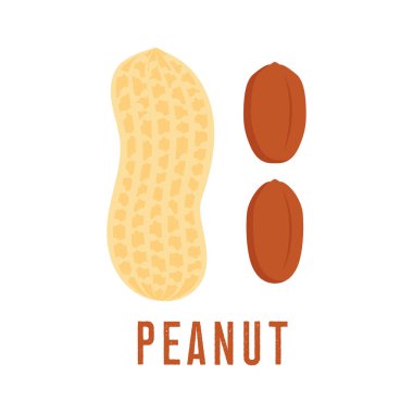 Yer fıstığı simgesi. beyaz arka plan üzerinde izole