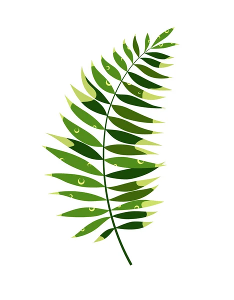 Basit palmiye yaprağı — Stok Vektör