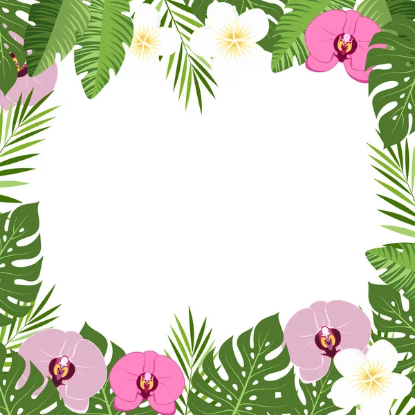 热带叶子和花卉兰花夏季框架 — 图库矢量图片
