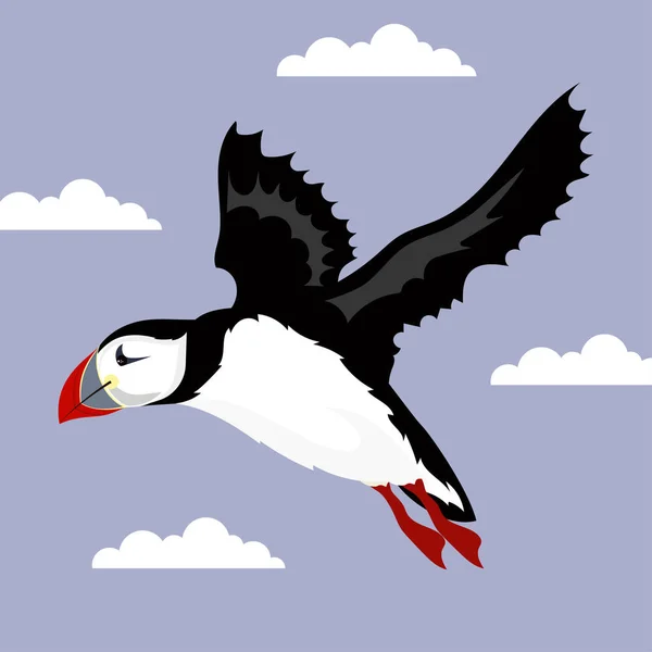 パフィン鳥のポスター — ストックベクタ