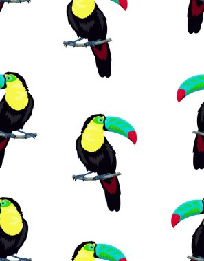 beyaz arka plan üzerinde toucan ile desen