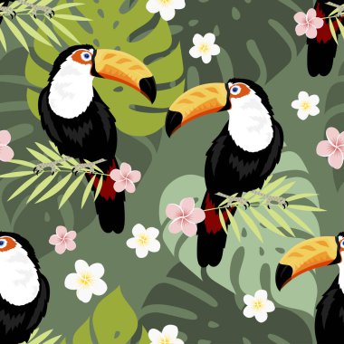 Toucan Dikişsiz desen illüstrasyon