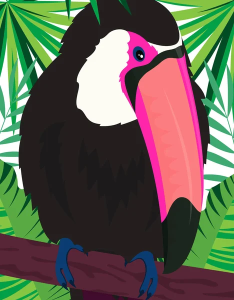 Carte vectorielle toucan mignon — Image vectorielle