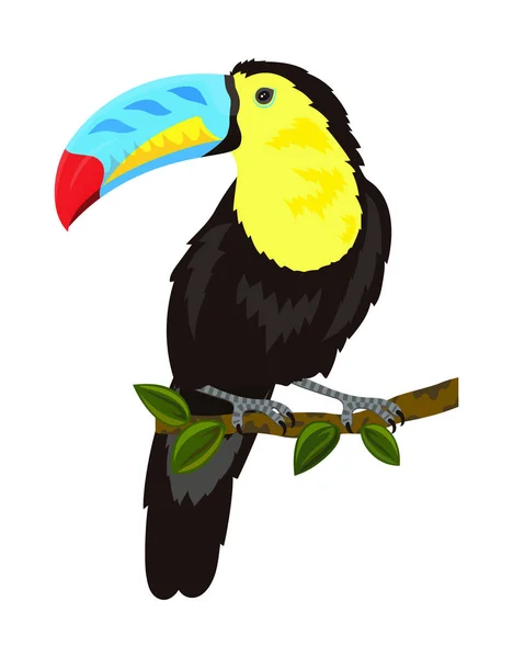 Toucan isolé sur blanc — Image vectorielle