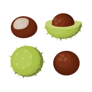 Kestaneler beyaz arkaplanda izole edilmiş