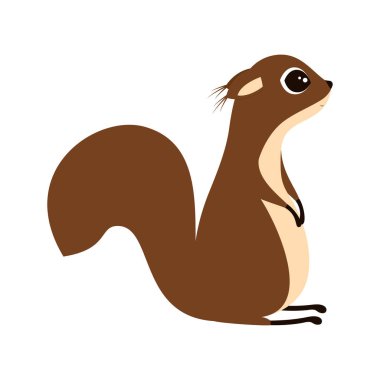 Beyaz arka plan üzerinde sincap