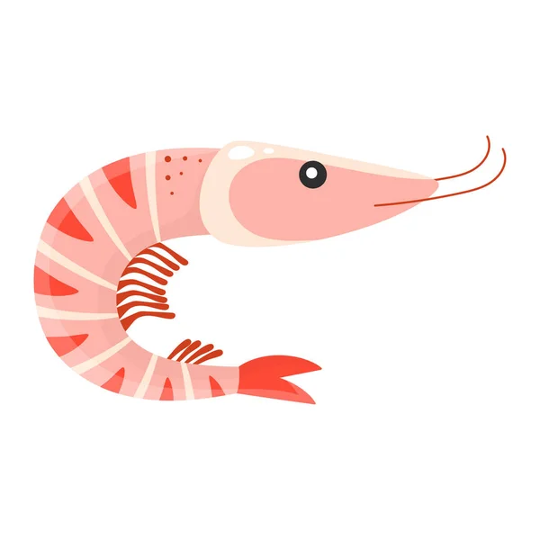 Cartoon Shrimp Isolated White Background Cute Prawn Vector Illustration Seafood — Stock Vector