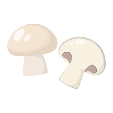 taze şampiyon, organik mantarlar tam ve yarısı izole edilmiş beyaz arka plan, düz çizgi film tarzında vektör illüstrasyonu