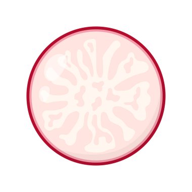 turp dilimi, karikatür vektör çizimi beyaz arkaplanda izole edildi