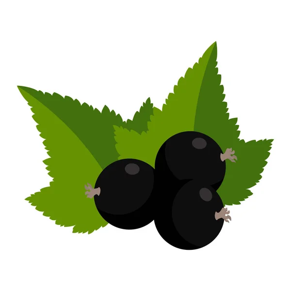 Schwarze Johannisbeeren Mit Blättern Isoliert Auf Weißem Hintergrund Vektorillustration — Stockvektor