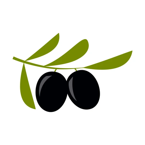 Illustration Vectorielle Olives Noires Sur Branche Branche Olivier Avec Olives — Image vectorielle