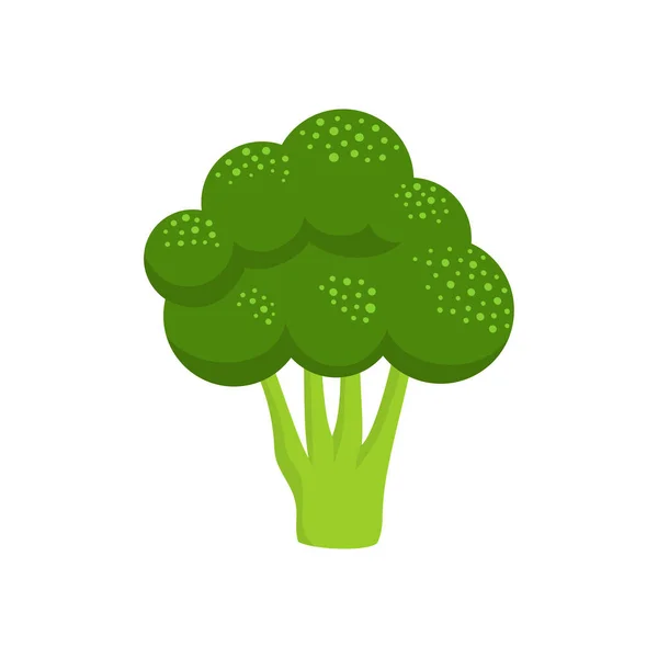 Illustration Morceau Vert Frais Brocoli Isolé Sur Fond Blanc Légume — Image vectorielle