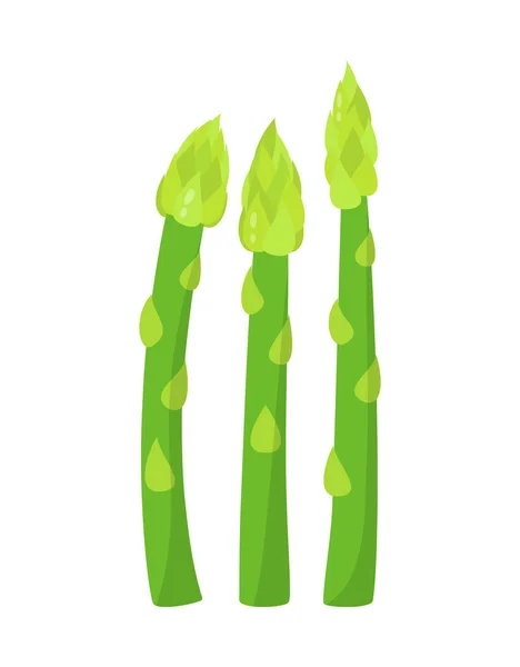 Spargel Isoliert Auf Weißem Hintergrund Vektorillustration Von Frischem Grünem Gemüse — Stockvektor