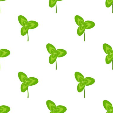 Beyaz arka planda izole edilmiş yonca yaprakları, sembol serveti, başarı, geleneksel İrlanda festivali, tatil St. Patrick, vektör illüstrasyonu