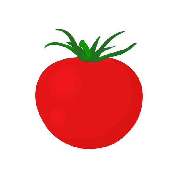 Tomate Mûre Rouge Isolée Sur Fond Blanc Illustration Vectorielle Dessin — Image vectorielle