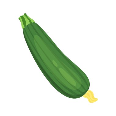 green zucchini isolated on white background, vector illustration, flat design clipart