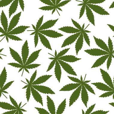 Beyaz arka planda kusursuz yeşil kenevir yaprakları. Marihuana yeşil yaprağı. Vektör illüstrasyonu.