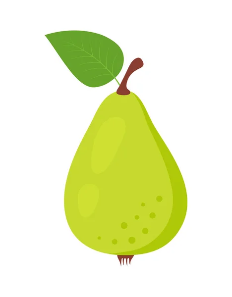 Pera Verde Aislada Sobre Fondo Blanco Ilustración Vectorial Fruta Fresca — Vector de stock