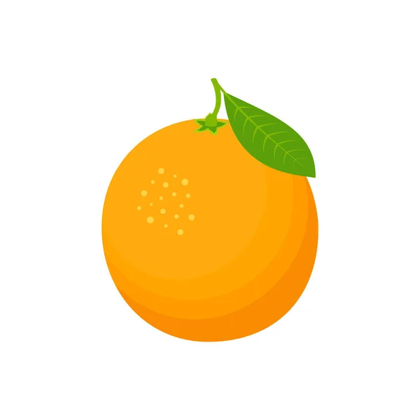 Fresh Orange Fruit Health Healthy Food Cartoon Orange Isolated White — Stock Vector