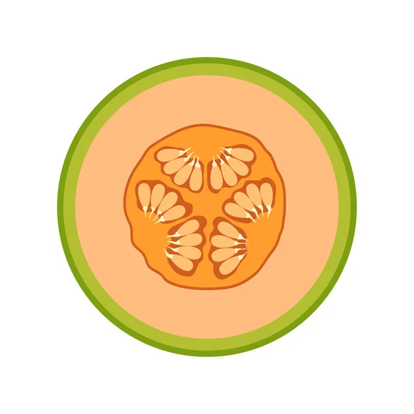 Galia Πεπόνι Απομονωμένο Λευκό Φόντο Φέτα Φρούτων Διανυσματική Απεικόνιση — Διανυσματικό Αρχείο