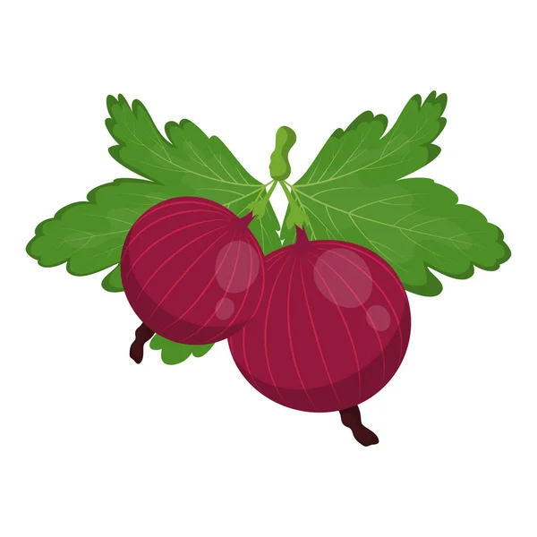 Fresh Juicy Gooseberry Leaves Tasty Ripe Berry Fruit Isolated White — Stock Vector