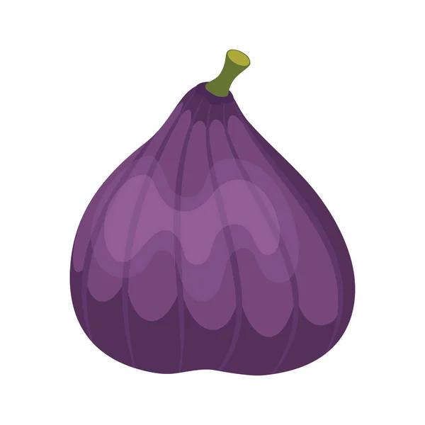 Fruta Entera Higuera Historieta Púrpura Aislada Sobre Fondo Blanco Ilustración — Vector de stock