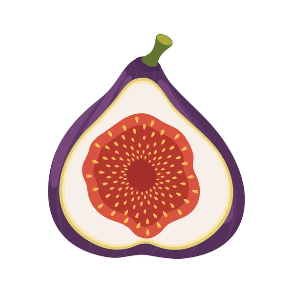 Fig Vector Icon Cartoon Half Fig Fruit Isolado Fundo Branco —  Vetores de Stock