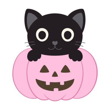 Komik siyah kedi pembe balkabağının içinde oturuyor, cadılar bayramı vektör çizimi düz stil