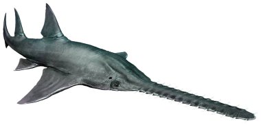 Tarih öncesi Onchopristis 3d çizim