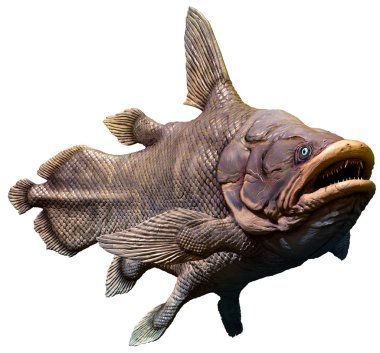 Tarih öncesi Mawsoniar 3d çizim