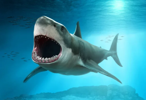 Grote Witte Haai Scène Illustratie — Stockfoto