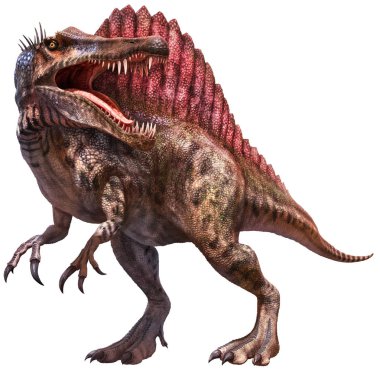 Spinosaurus  dinosaur 3D illustration  clipart
