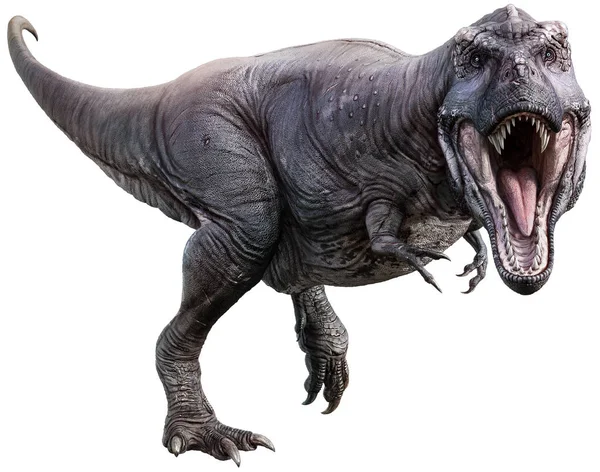 Tyrannosaurus rex 3d çizim
