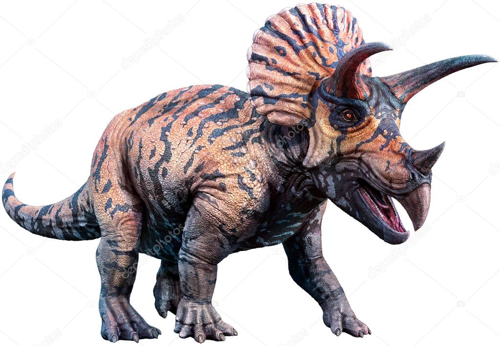 Triceratops dinosaur 3D illustration
