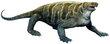 Permiyen döneminden Cotylorhynchus 3d illüstrasyon