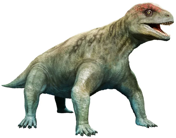 Criocephalosaurus Ilustrace Permian — Stock fotografie