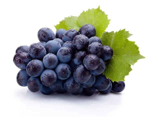 Blue Grapes Wet Leaves Isolated White Background — Stock Photo, Image